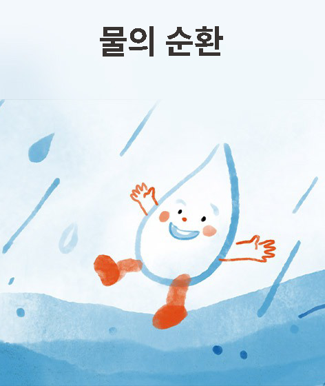 물의 순환